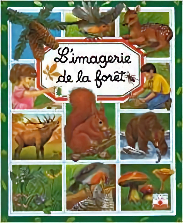 L'Imagerie de la forêt -